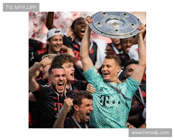 伊布拉希莫维奇对阵德甲球队进球纪录汇总 伊布拉希莫维奇对阵德甲球队进球纪录汇总