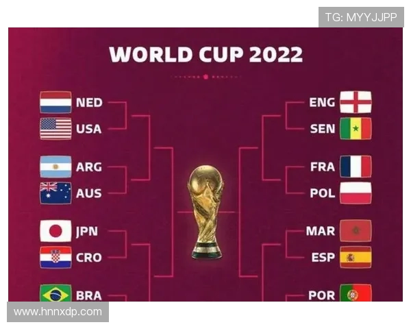 巴西世界杯历届进球全记录汇总与精彩回顾